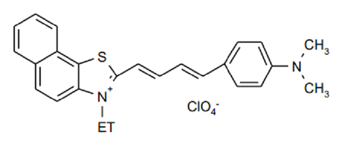 dimethylaminophenylbutadienyl-3-ethylnaphthothiazolium per