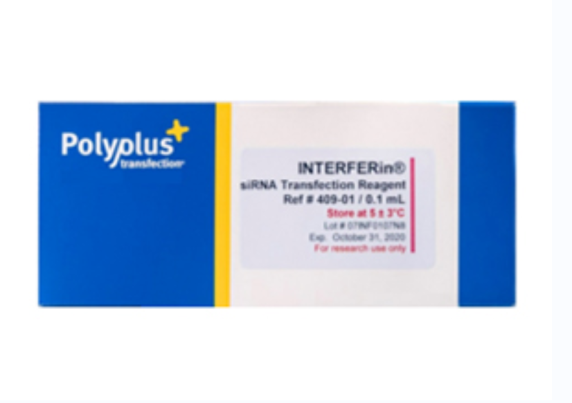 干扰素转染试剂