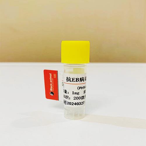 EB病毒抗体.jpg EB病毒抗体.jpg