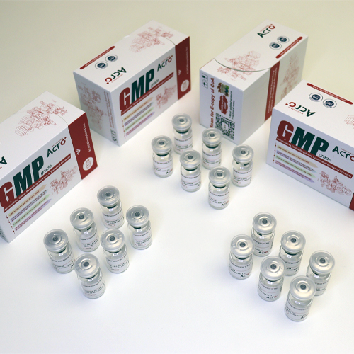 GMP重组人TGF-β1蛋白-ACROBiosystems百普赛斯