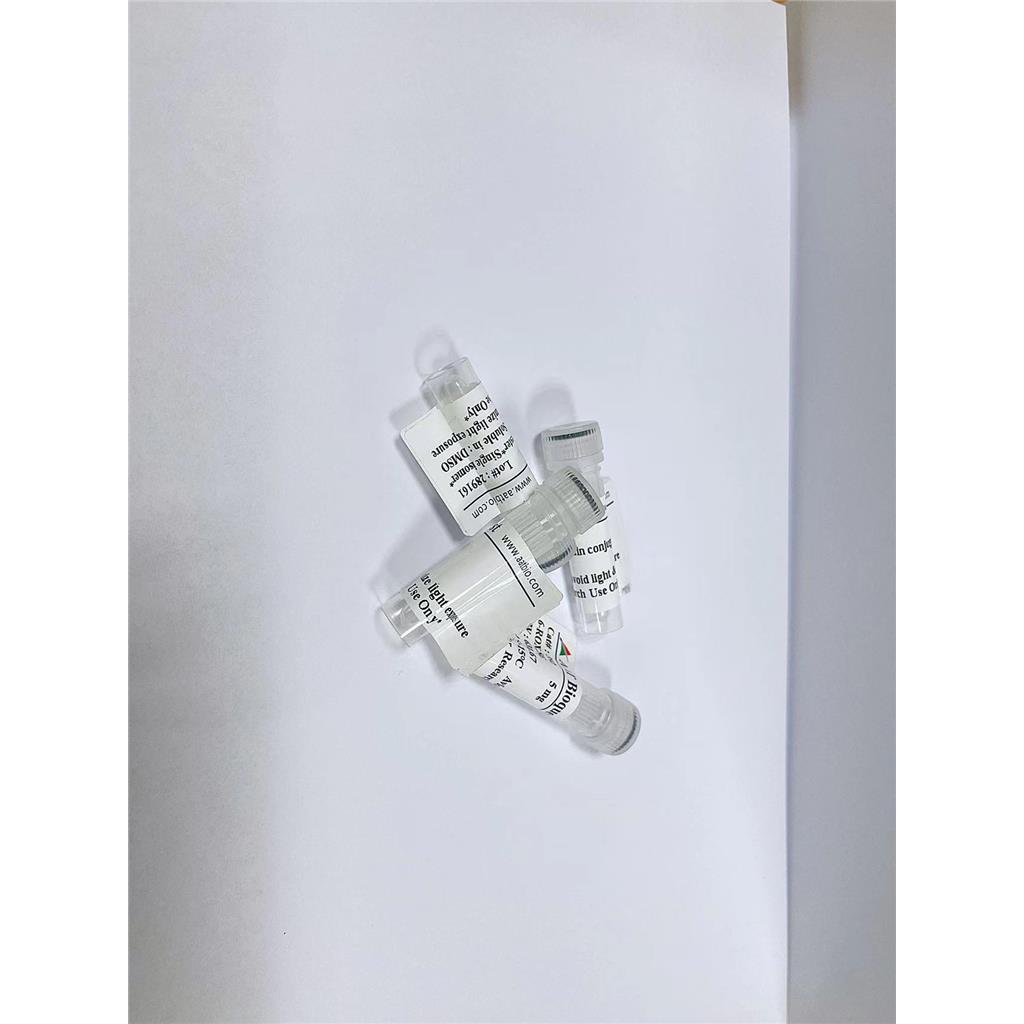 吲哚菁绿ICG叠氮化物