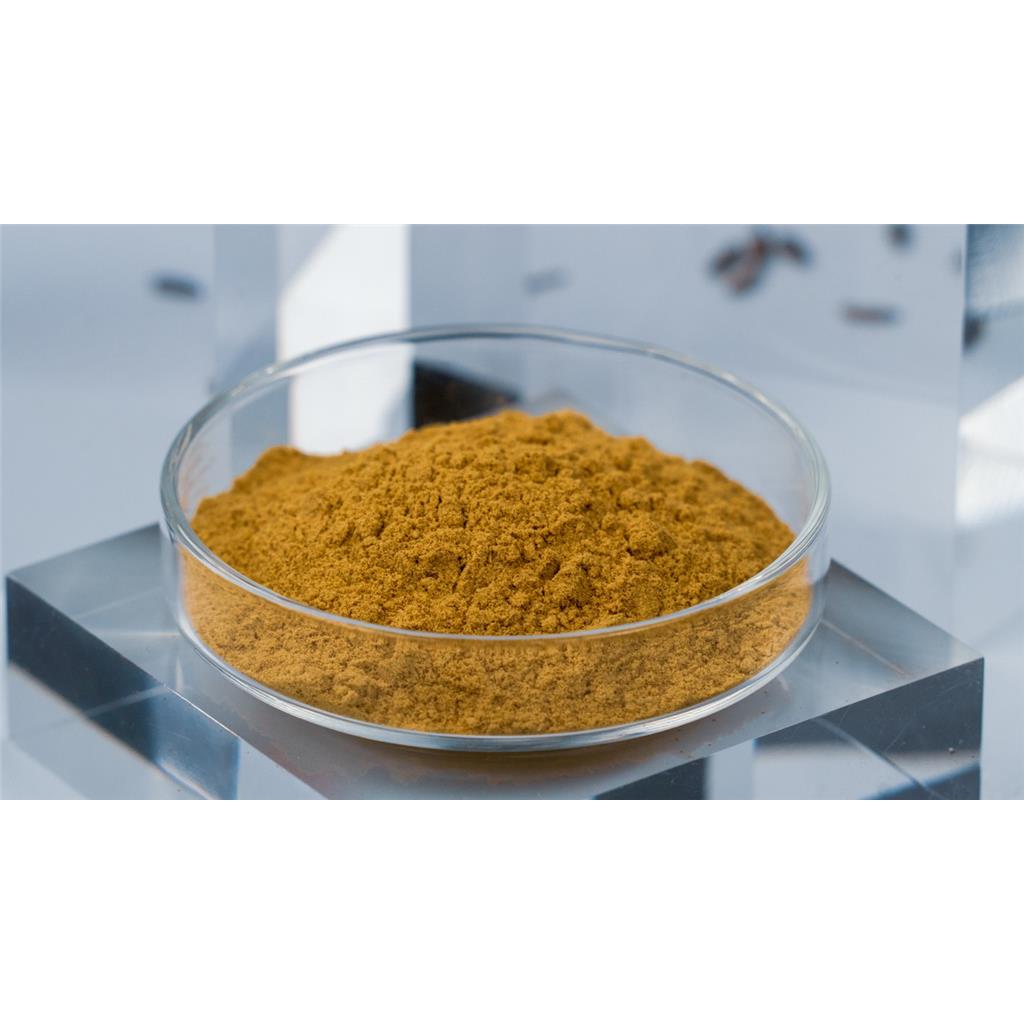 环黄芪醇 84605-18-5