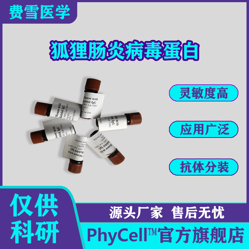 狐狸肠炎病毒蛋白；狐狸肠炎病毒抗原；狐狸肠炎抗原