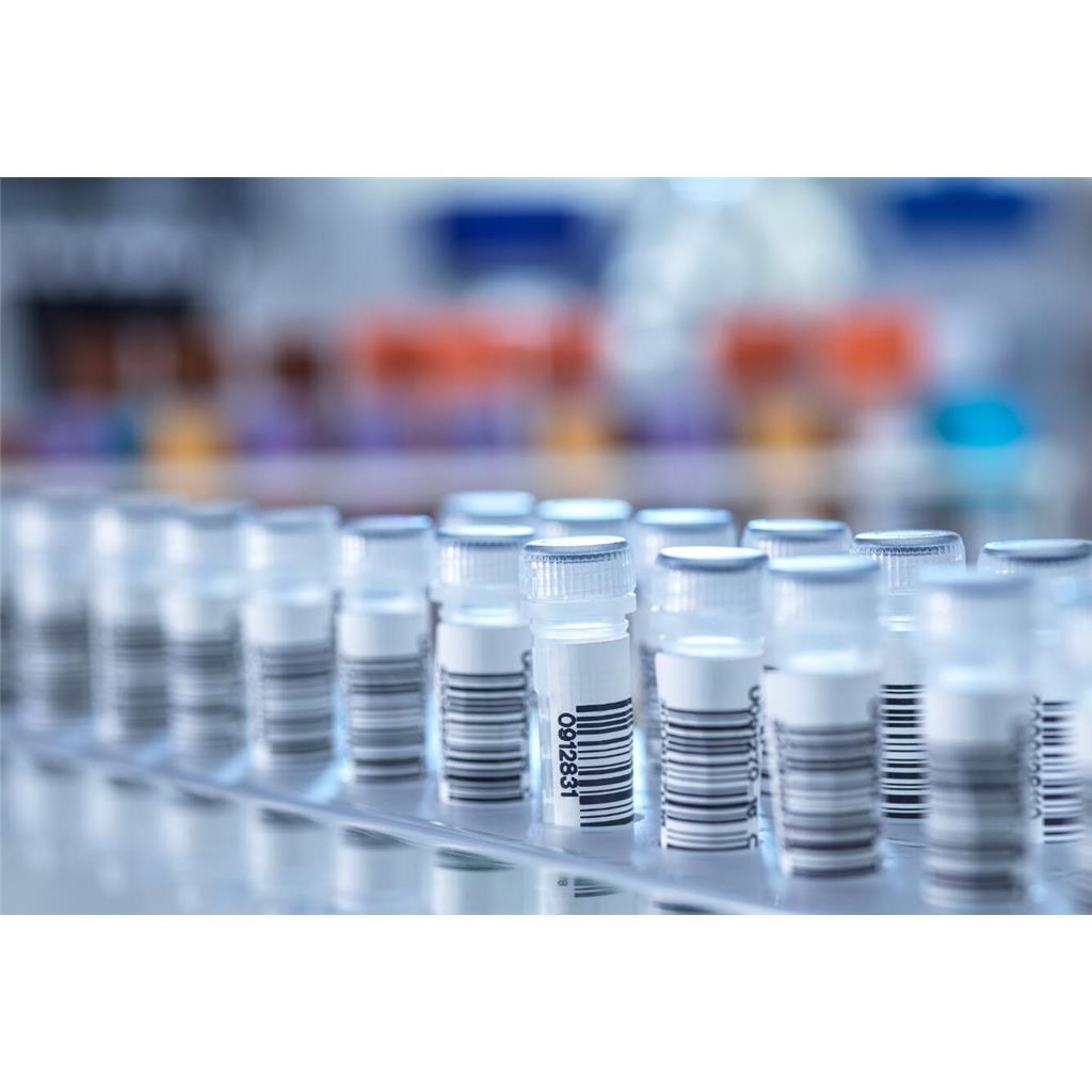 钴胺素抗原；维生素B12抗原；维生素B12-BSA(OVA）偶联抗原；Vitamin B12（Vb12）抗原