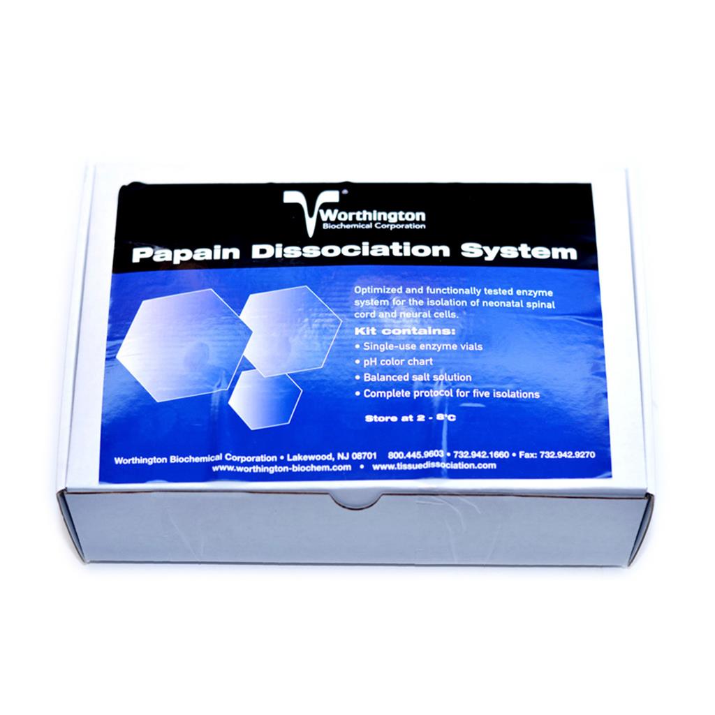 木瓜蛋白酶解离系统