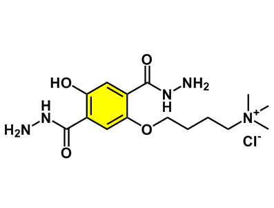 4-（2,5-二（肼羰基）-4-羟基苯氧基）-N，N，N-三甲基丁-1-氯化铵