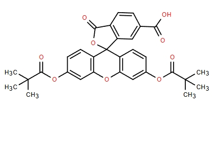 6-羧基荧光素 DIPIVALATE