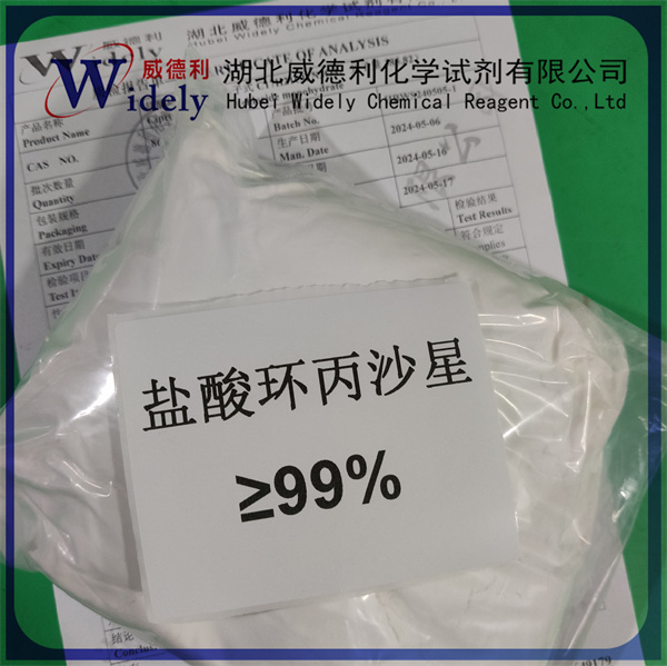 盐酸环丙沙星 86393-32-0