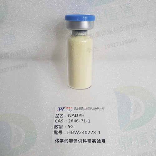 烟酰胺腺呤二核苷磷酸钠