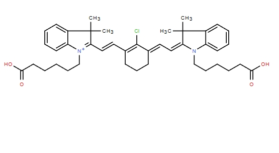 CY7双酸