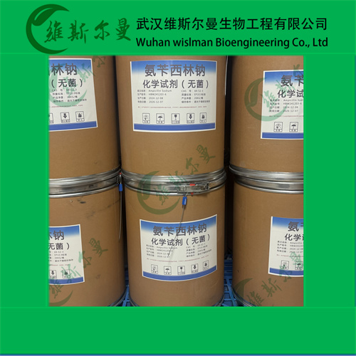 氨苄西林钠-青霉素类小分子抑制剂-武汉维斯尔曼王华