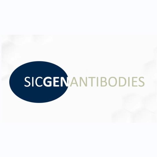 维百奥生物代理SICGEN Antibodies全系列抗体产品