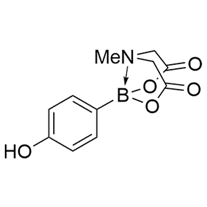 4-羟基苯硼酸MIDA酯 1613586-40-5