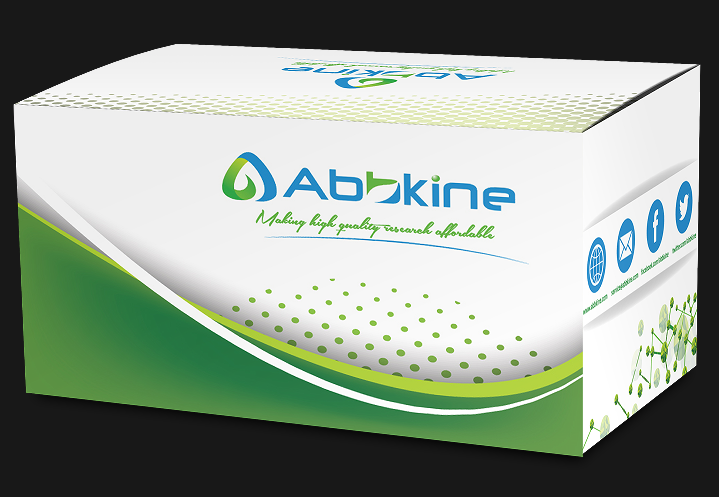 CheKine? 活性氧（ROS）含量检测试剂盒（荧光法）