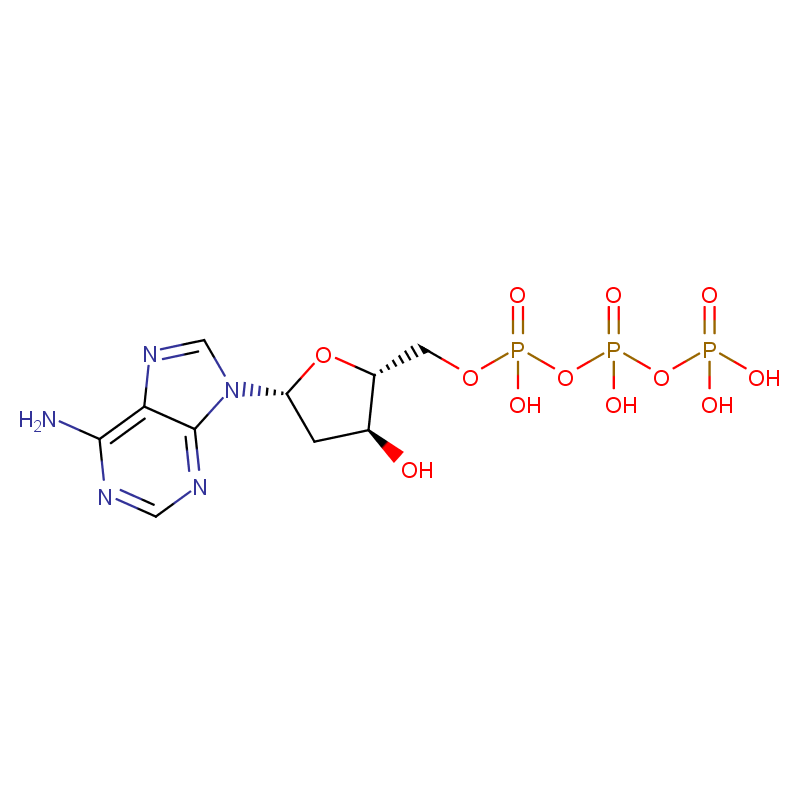 2'-脱氧腺苷5'-三磷酸[dATP]三钠三水合物