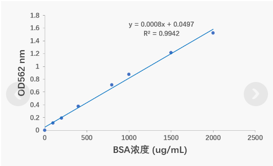 蛋白质定量试剂盒（BCA法）