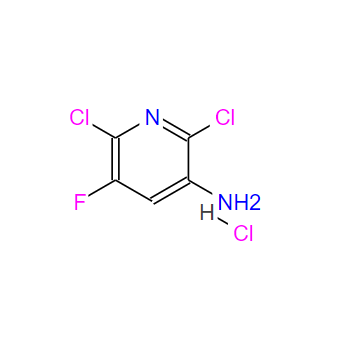 1416351-81-9;2,6-二氯-3-氨基-5-氟吡啶 盐酸盐;2,6-Dichloro-5-fluoropyridin-3-aMine hydrochloride