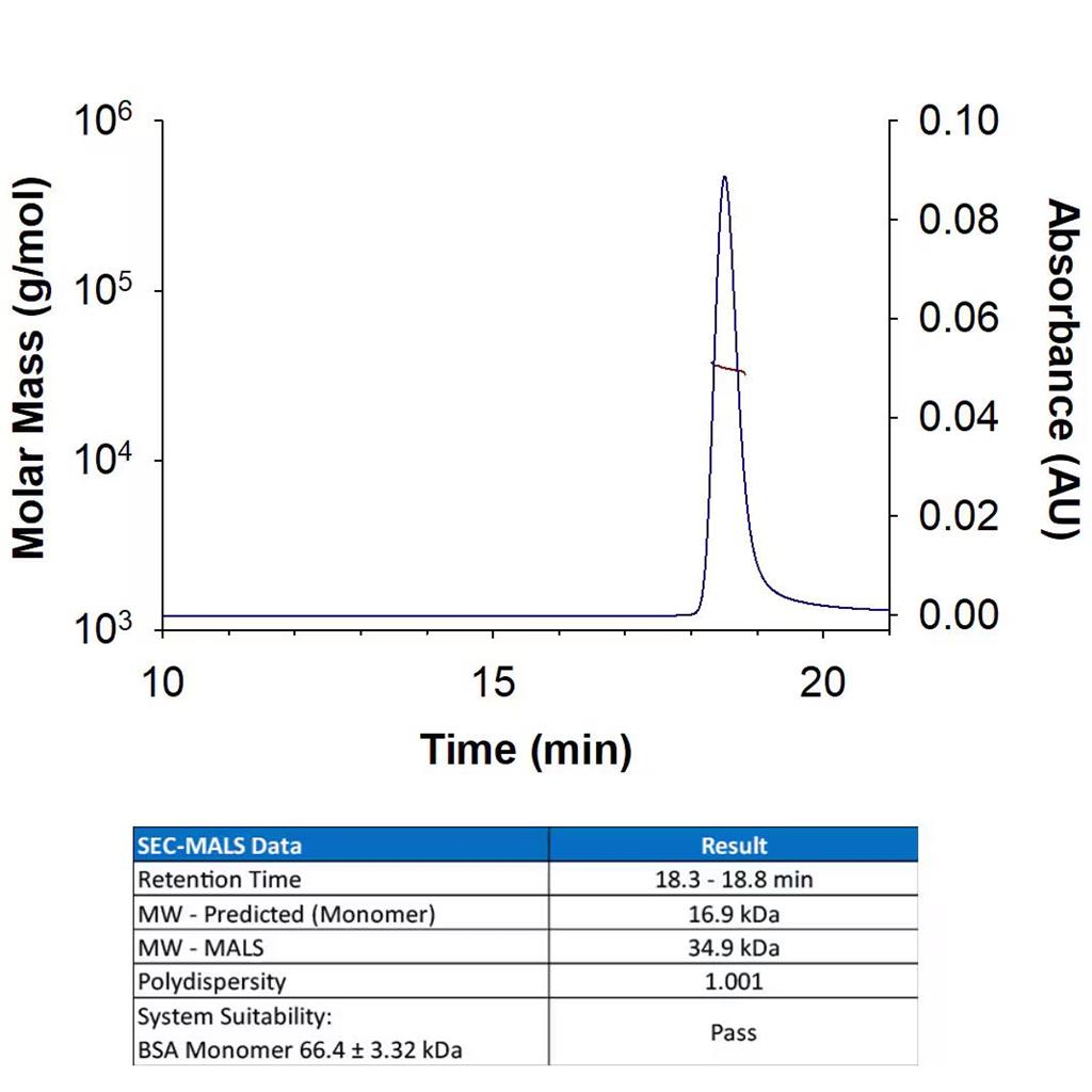 Recombinant Human IFN-gamma Protein 100ug(R&D Systems 285-IF/CF)