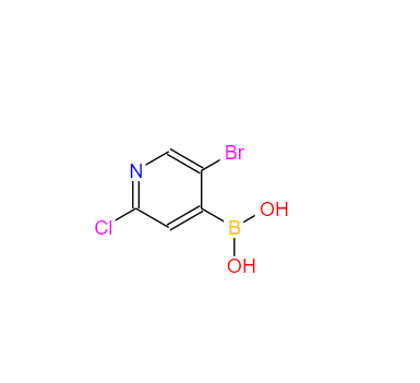 5-溴-2-氯吡啶-4-硼酸871329-63-4