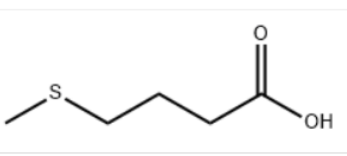 4-(甲磺酰基)丁酸;4-(甲基硫烷基)丁酸