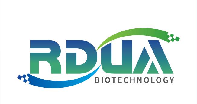 神经丝轻链蛋白抗体（NFL Antibody）--自主研发