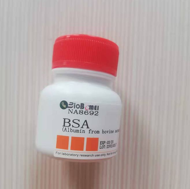 牛血清白蛋白