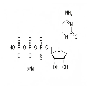 胞苷三磷酸硫代物钠盐溶液（100mM）  CTPαS 100mM Sodium Solution