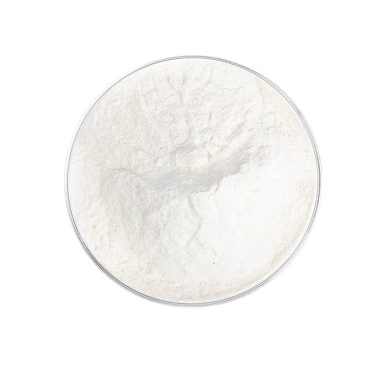 迷迭香酸98含量 20283-92-5 抗氧化剂 食品级 可分装 小分子抑制剂