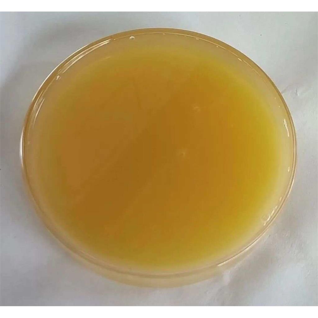 苏州鼠李糖脂厂家，生物表面活性剂鼠李糖脂批发