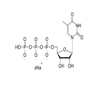 5-甲基尿苷三磷酸钠盐溶液 5-Me-UTP,100mM Sodium Salt Solution