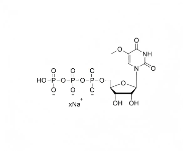 5-甲氧基尿苷三磷酸钠盐溶液 5-OMe-UTP,100mM Sodium Salt Solution