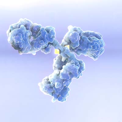 Nucleocapsid protein/NP (Influenza Virus), His Tag