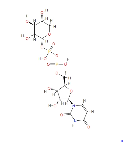 UDP-阿拉伯糖15839-78-8