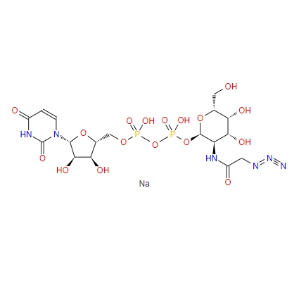尿苷5'-二磷酸-N-乙酰叠氮氨基半乳糖胺二钠盐653600-61-4