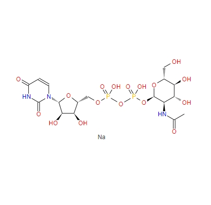 5′-二磷酸尿嘧啶核苷-N-乙酰半乳糖胺二钠盐91183-98-1