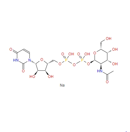 尿嘧啶核苷-5′-二磷酸-N-乙酰氨基半乳糖二钠盐108320-87-2