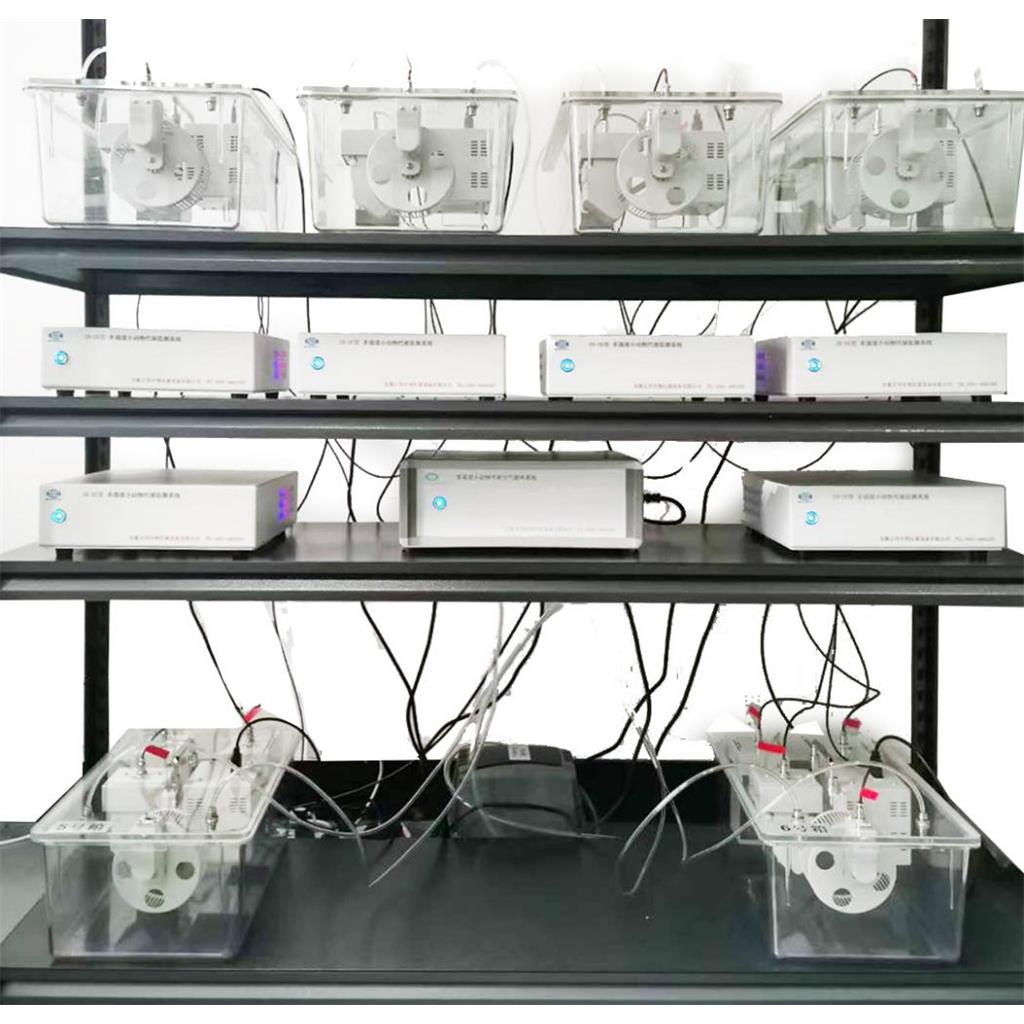 多通道小动物气体能量代谢监测系统(S)