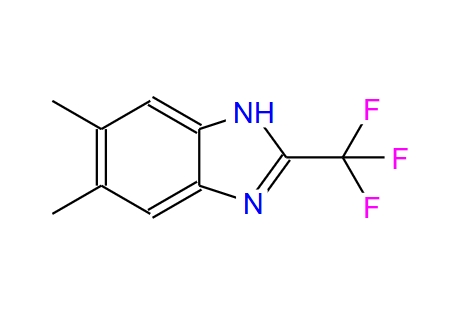 5,6-二甲基-2-(三氟甲基)-1H-苯并[d]咪唑
