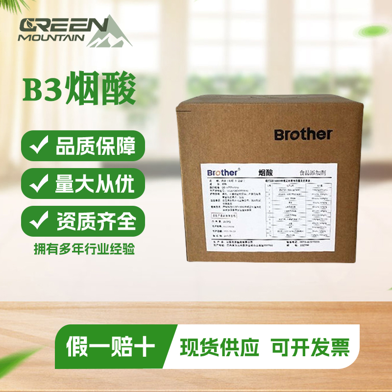 B3烟酸 烟酰胺维生素B3类食品级尼克酰胺