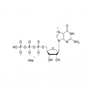 7-甲基鸟苷5’-三磷酸钠盐溶液 m7GTP 100mM Sodium Solution