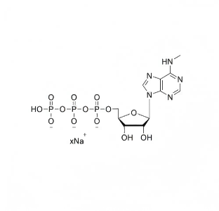 N6-甲基腺苷酸-5'-三磷酸钠溶液 m6ATP 100mM Sodium Solution