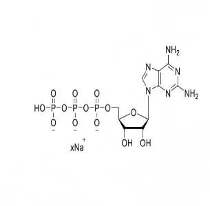 2-氨基腺苷三磷酸钠盐溶液 2-NH2-ATP 100mM Sodium Solution