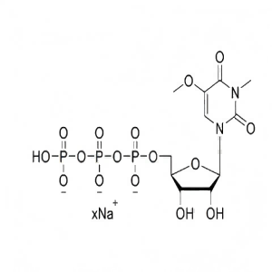 3-甲基-5-甲氧基尿苷三磷酸钠盐溶液 3-Me-5-0Me-UTP 100mM Sodium Solution