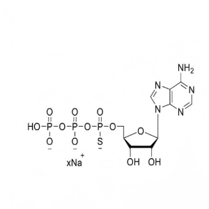 腺苷-5'-O-(1-硫代)三磷酸钠盐溶液 ATP(αS) 100mM Sodium Solution