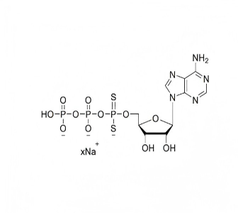 腺苷-5'-O-(1-硫代三磷酸)钠盐溶液SPS ATP 100mM Sodium Solution