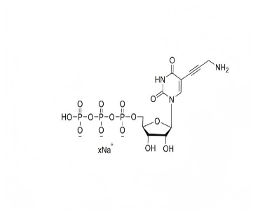 5-炔丙基氨基尿苷三磷酸钠盐溶液5-Aminpropargyl UTP 100mM Sodium Solution