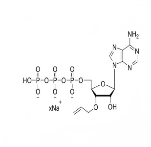3'-O-烯丙基腺苷三磷酸钠盐溶液3'-0-Allyl-ATP 100mM Sodium Solution