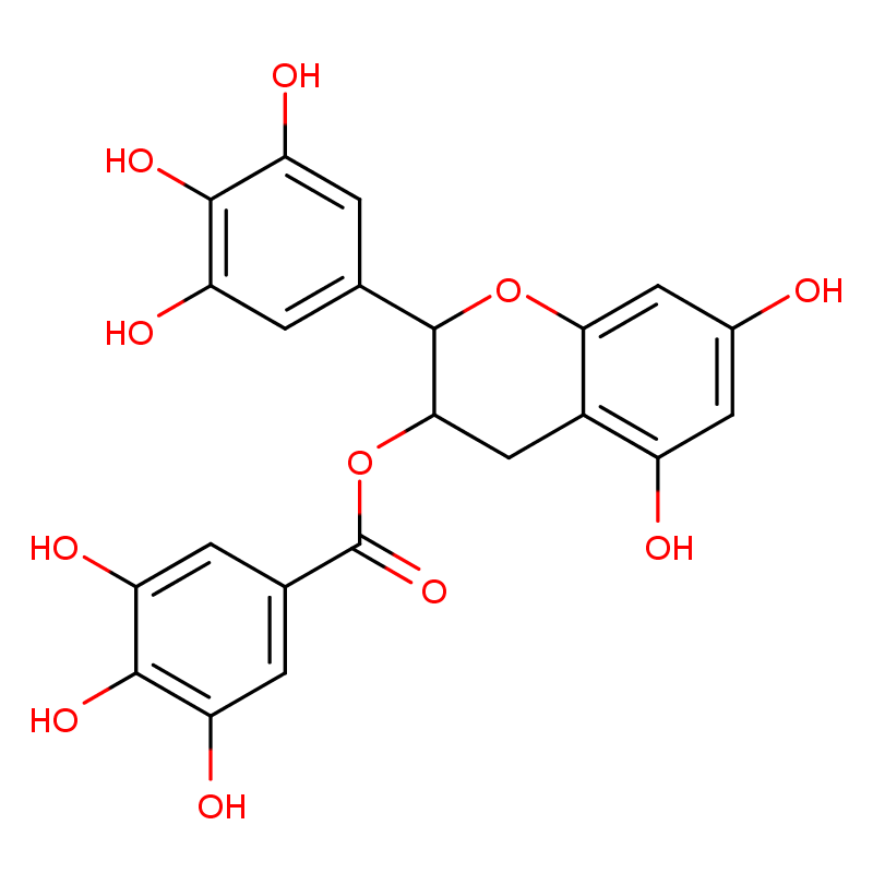 茶树花提取物 Tea flower extract  匠信生物