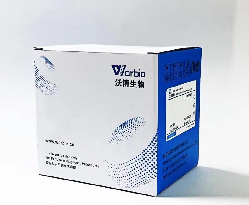 RNA恒温快速扩增试剂盒（RNA基础型）