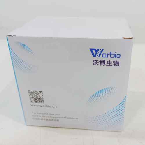 DNA恒温快速扩增试剂盒（DNA试纸条型）